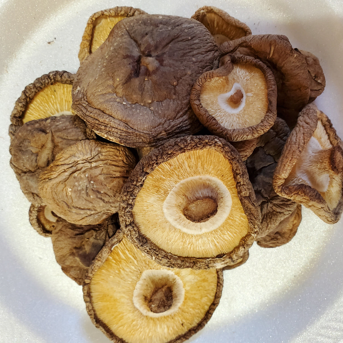 4 Ounce Dried Organic Shiitake Mushrooms Blues Best Mushrooms