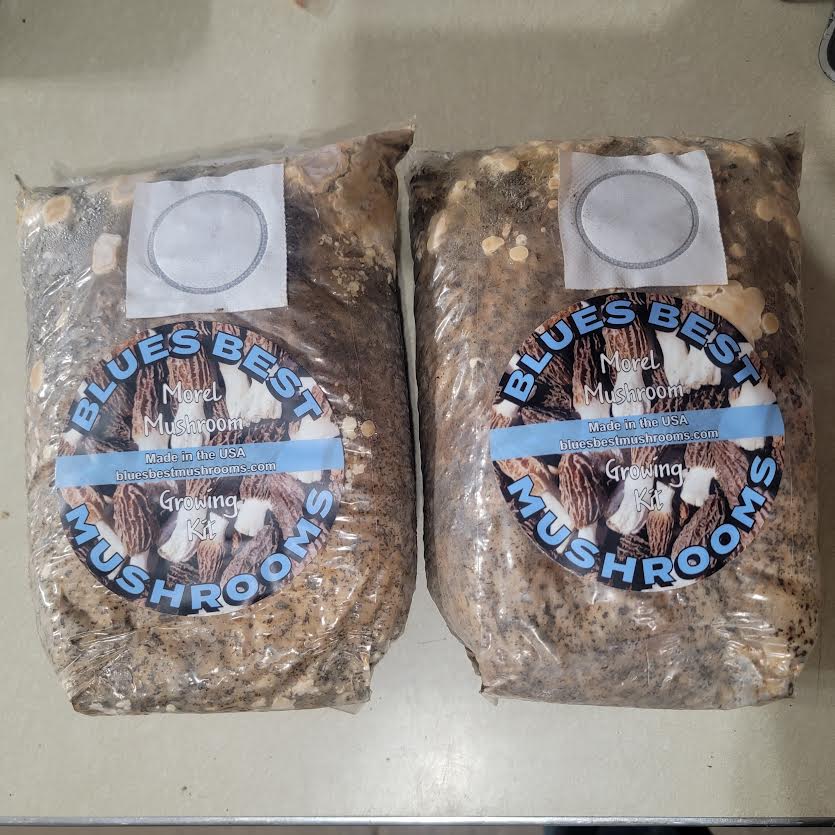 BUY 1 MOREL KIT & GET ONE FREE!!! THIS WEEK ONLY!!!