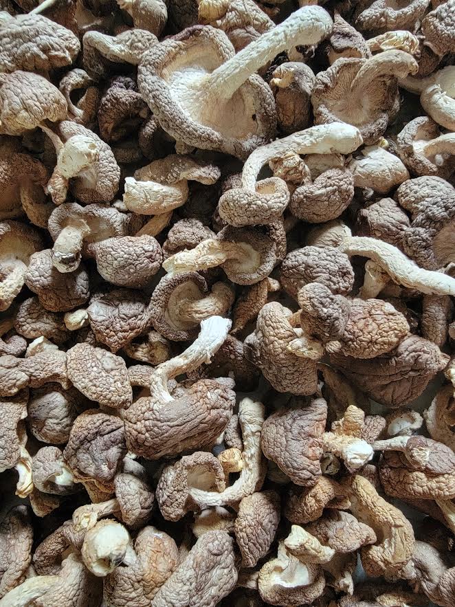 4 Ounce Dried Organic Whole Shiitake Mushrooms