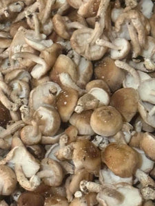 5 Pounds Fresh Whole Small Shiitake Mushrooms